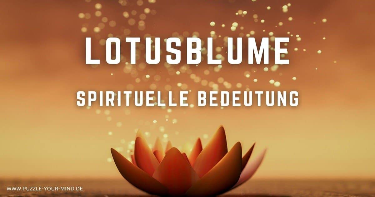 Artery8 Buddha Lotusblume Grußkarte – Spirituelle Genesungskarte – Blanko Innen – 17,5x12,5 Cm